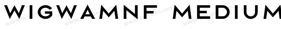 WigwamNF Medium字体转换